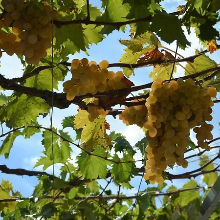 Katarina Apartmán *