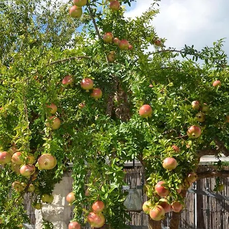 Apartmán Katarina *