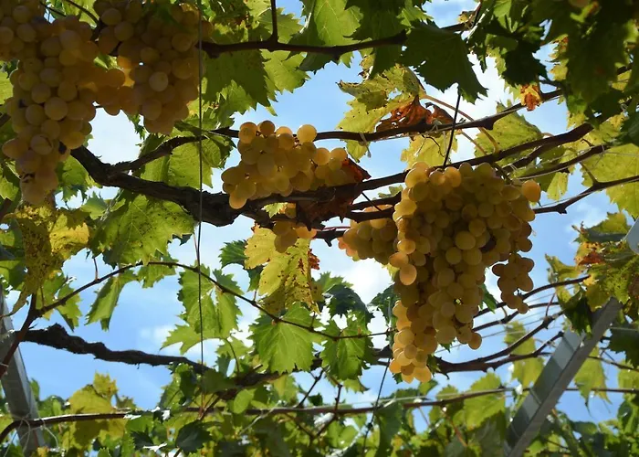 Katarina Lejlighed *