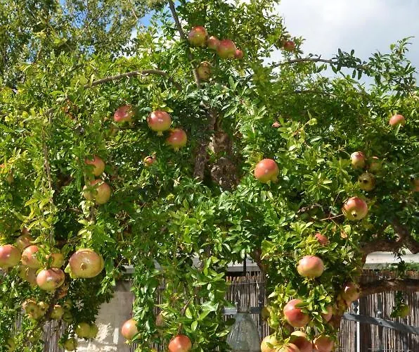 Appartement Katarina *